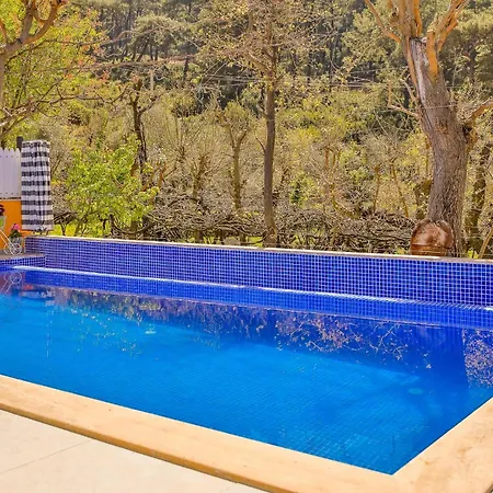 Mustard Hotel 4*